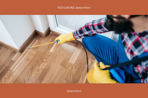 PEST CONTROL Somers Point